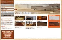 web development